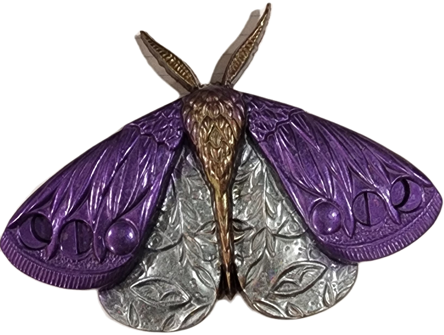 Moth